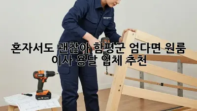 혼자서도 괜찮아! 함평군 엄다면 원룸 이사 용달 업체 추천