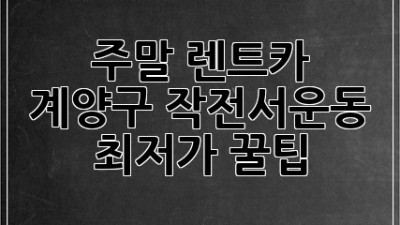 주말 렌트카🚗 계양구 작전서운동 최저가 꿀팁🍯
